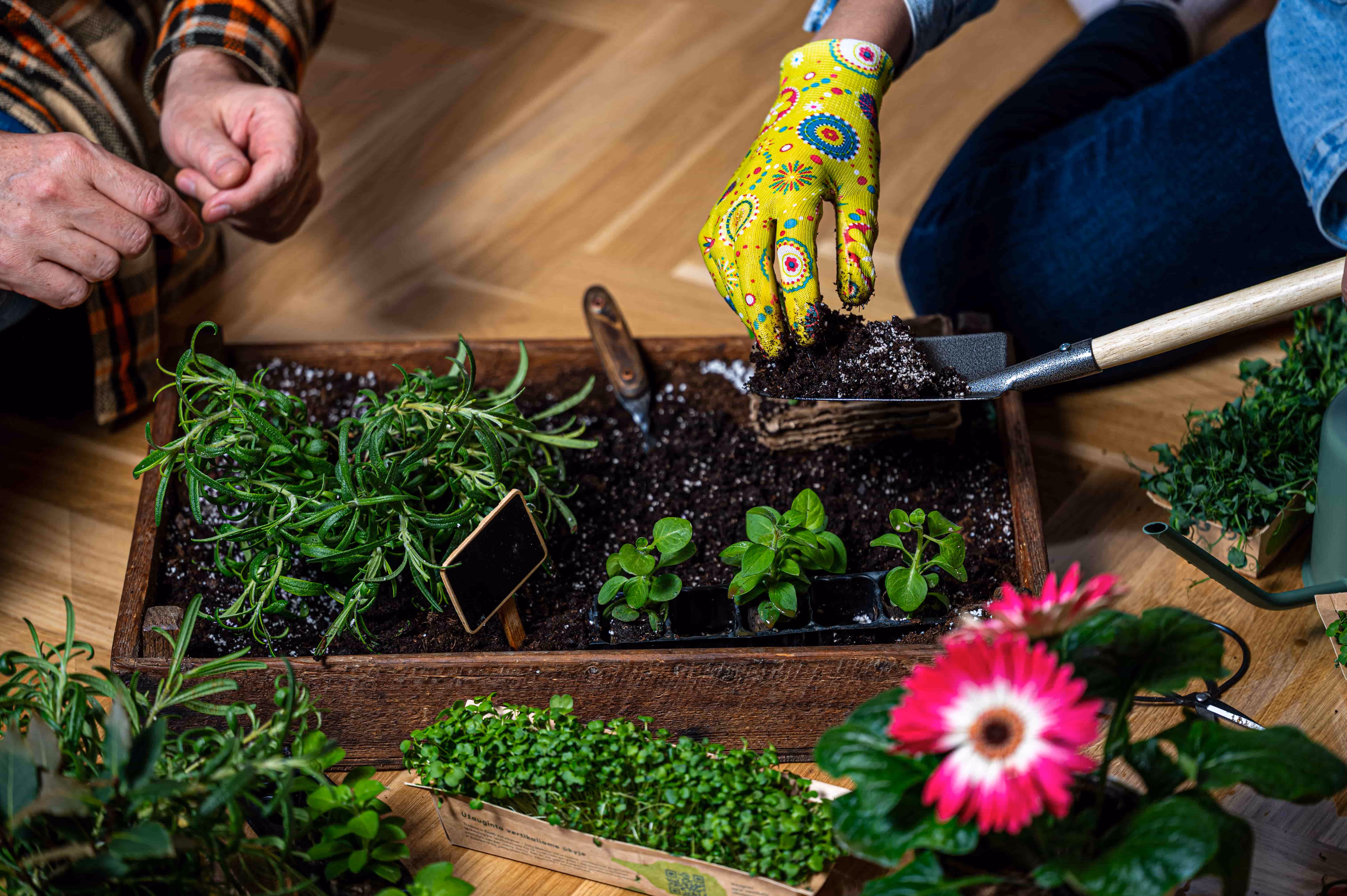 Two people planting herbs in a wooden tray filled with soil, one wearing colorful gloves and using a small shovel.