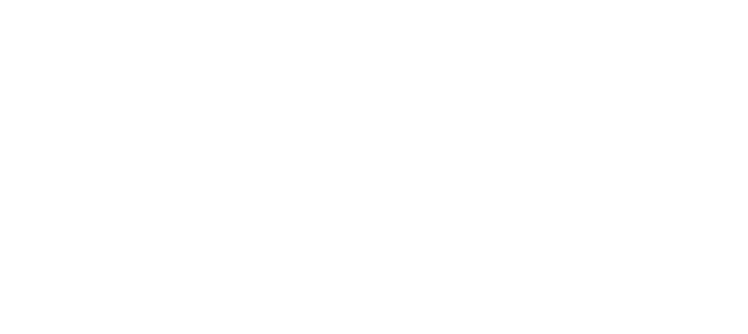 Spectrum Mobility