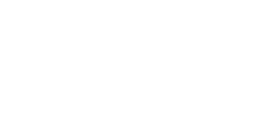 Spectrum Mobility