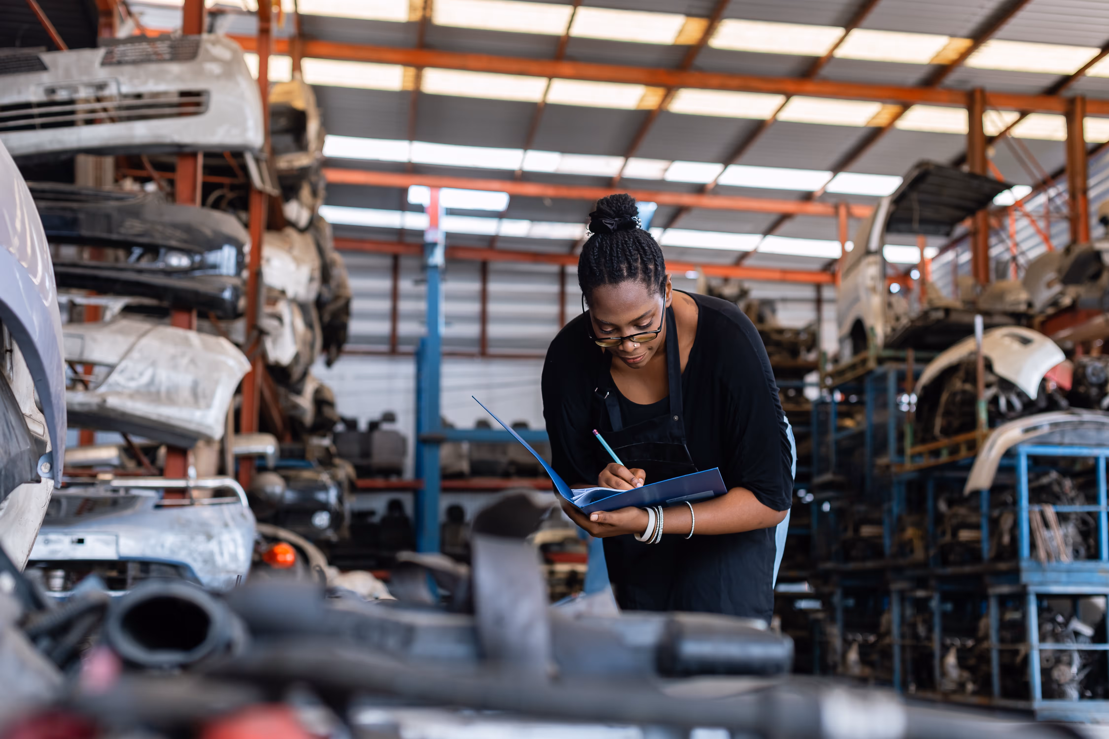 Diana Automotive Problems European Car Owners Face