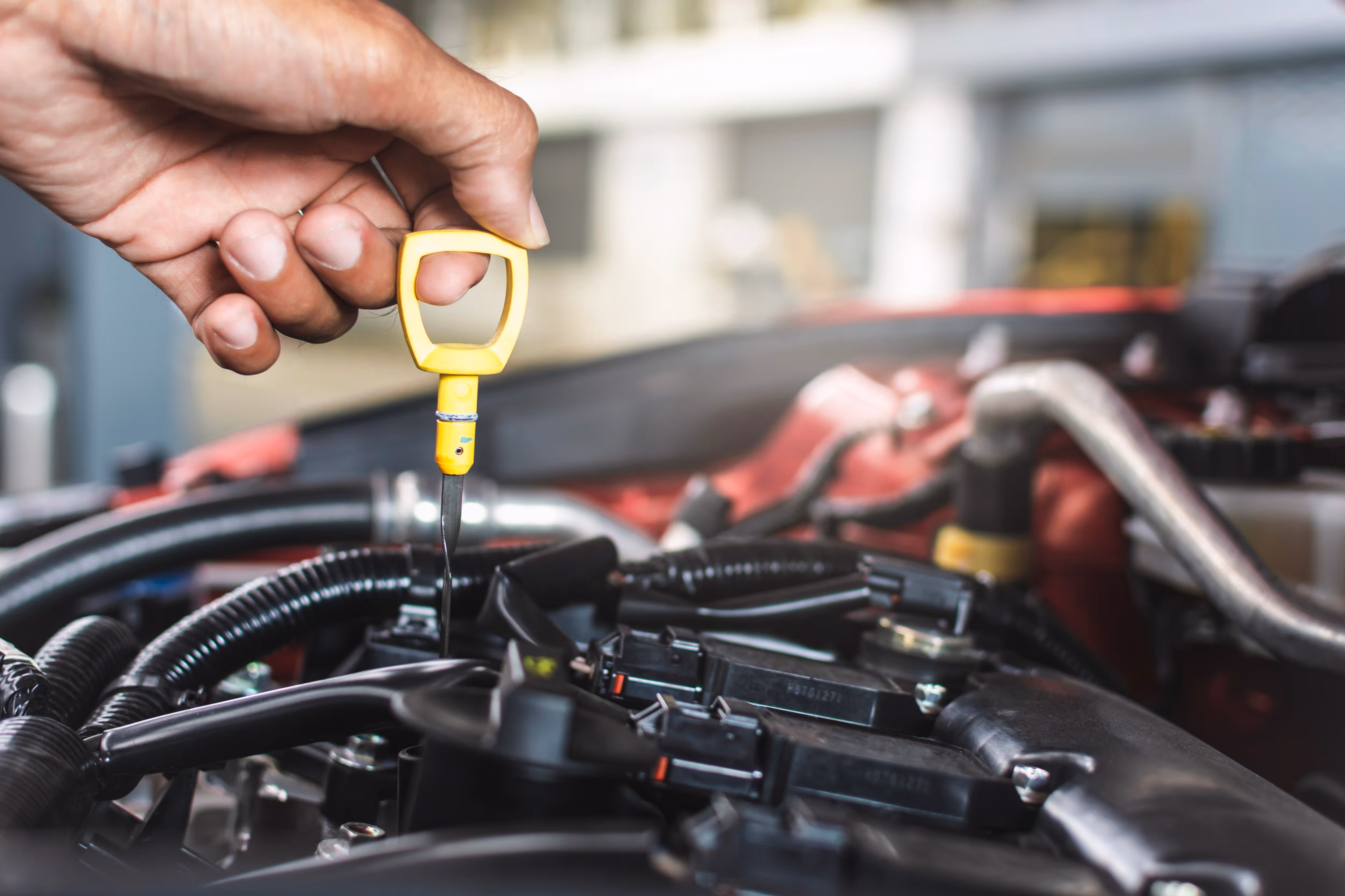 Engine Oil and Filter Change