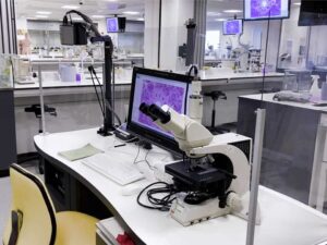 The Bodmer Laboratory – the main multipurpose teaching lab at Salford University – set up with social distancing measures in place.