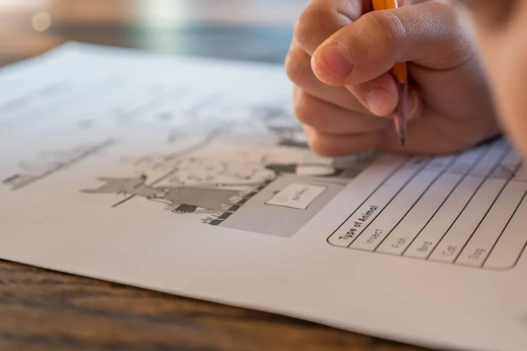 para qué sirve la rúbrica de evaluación