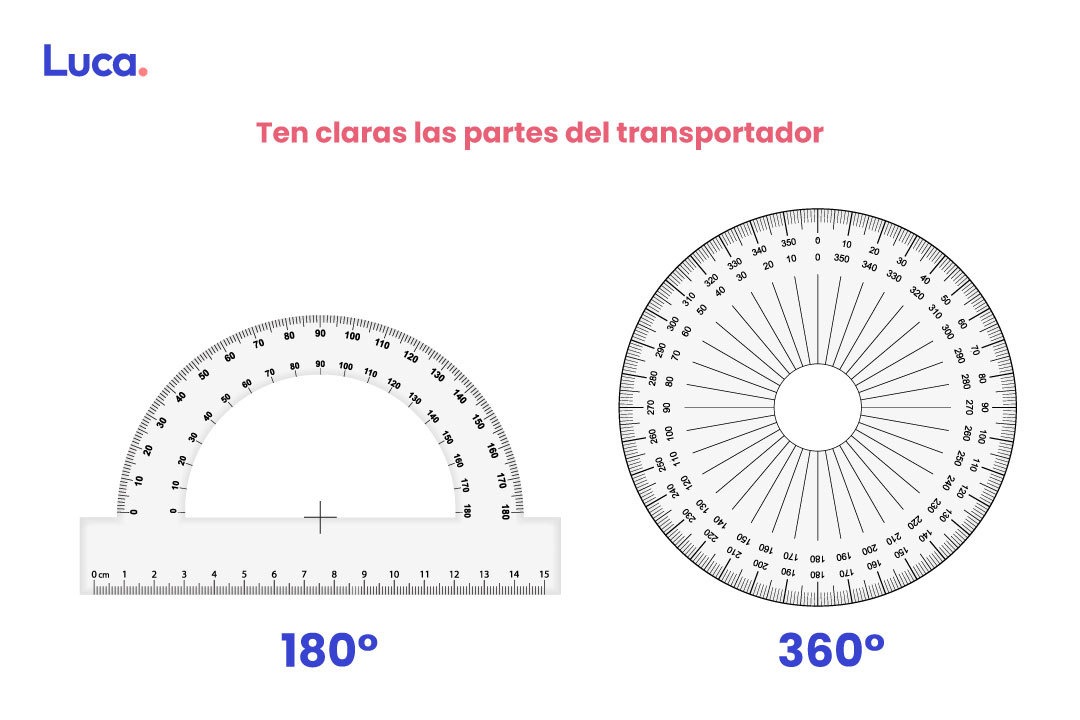 uso del transportador