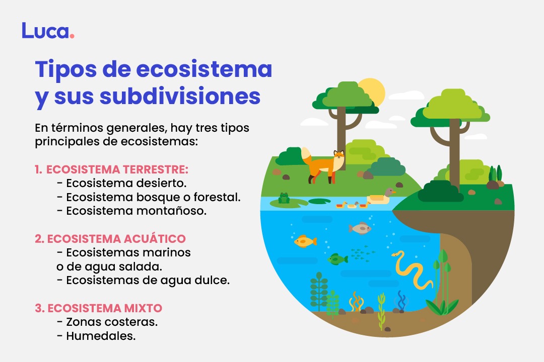 ecosistemas