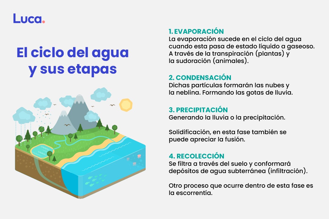 el ciclo del agua