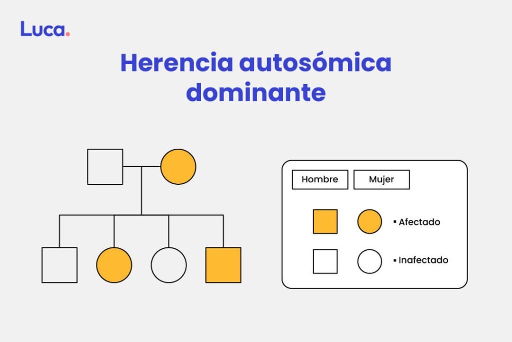 Herencia autosómica dominante