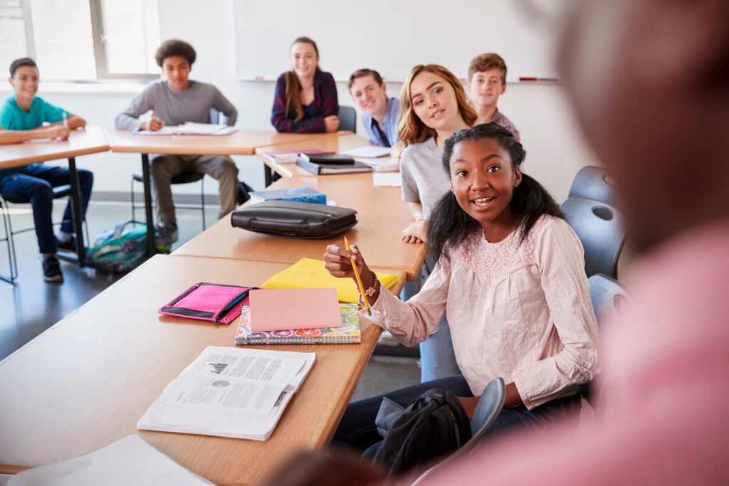 A que se le denomina habilidad docente
