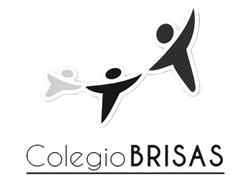 Colegio brisas logo