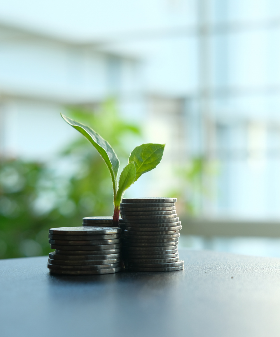 money image with plants growing out of it 