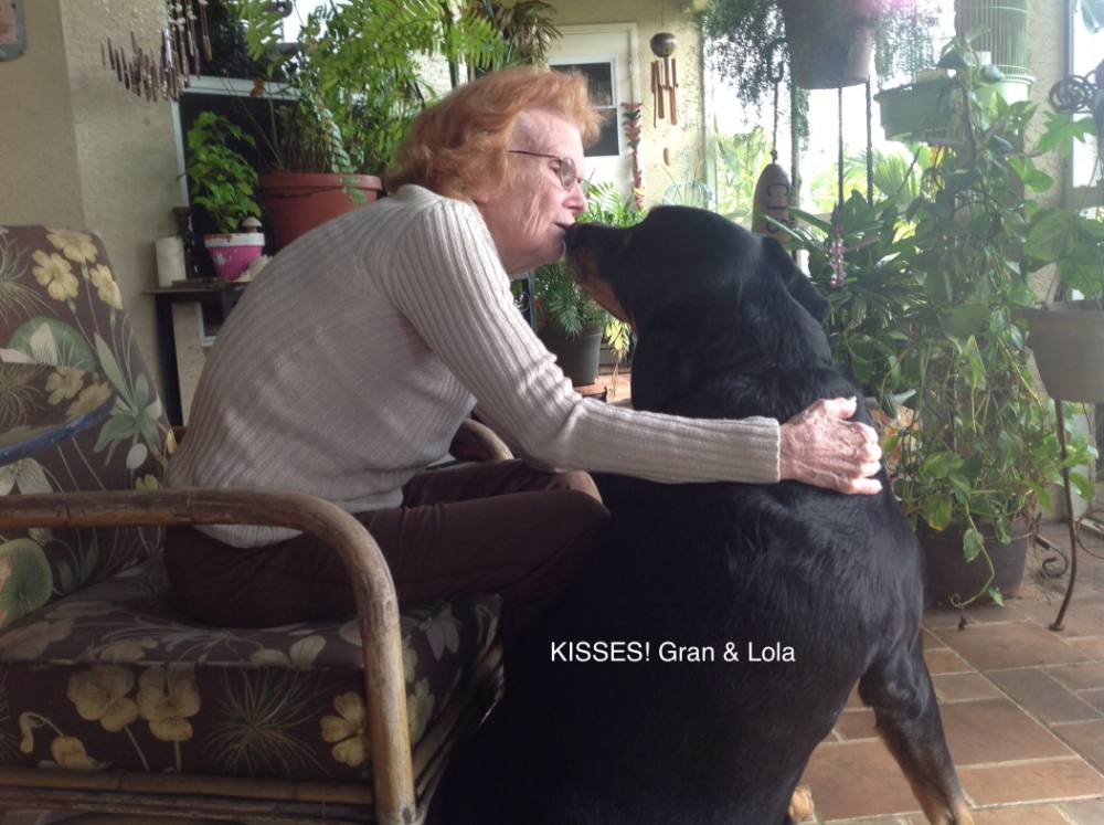 Susan Davison tribute