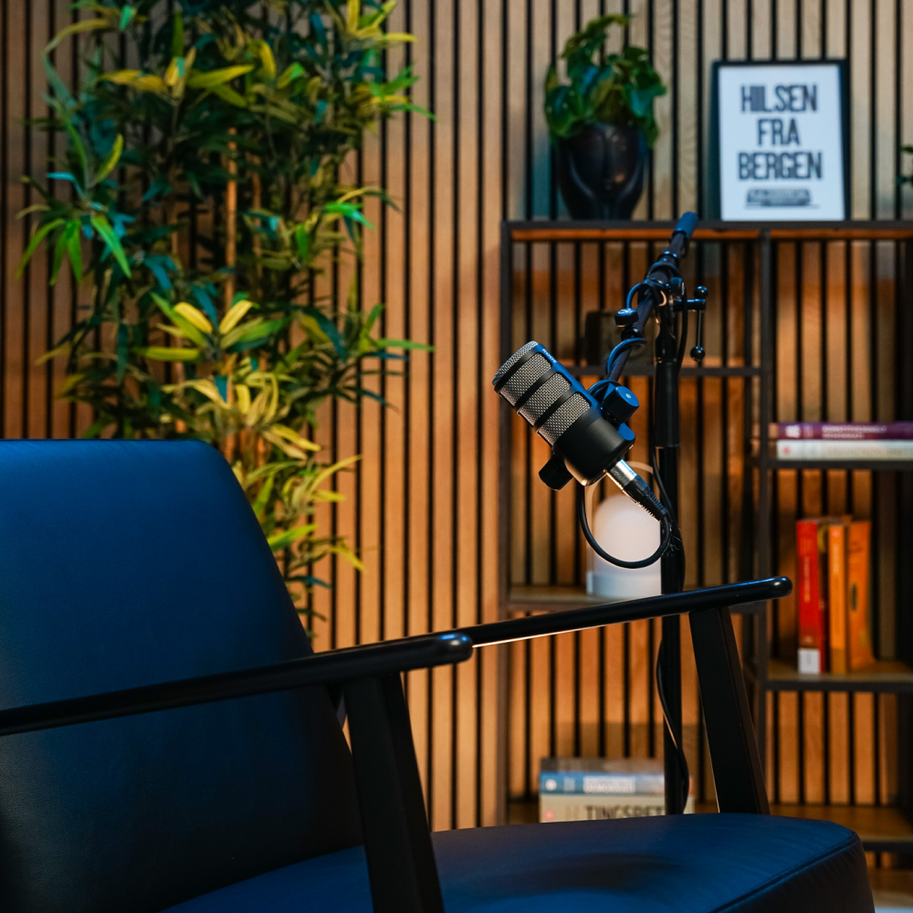 Podcast setup with a black microphone on a stand next to a black chair and wooden shelf with plants and books.