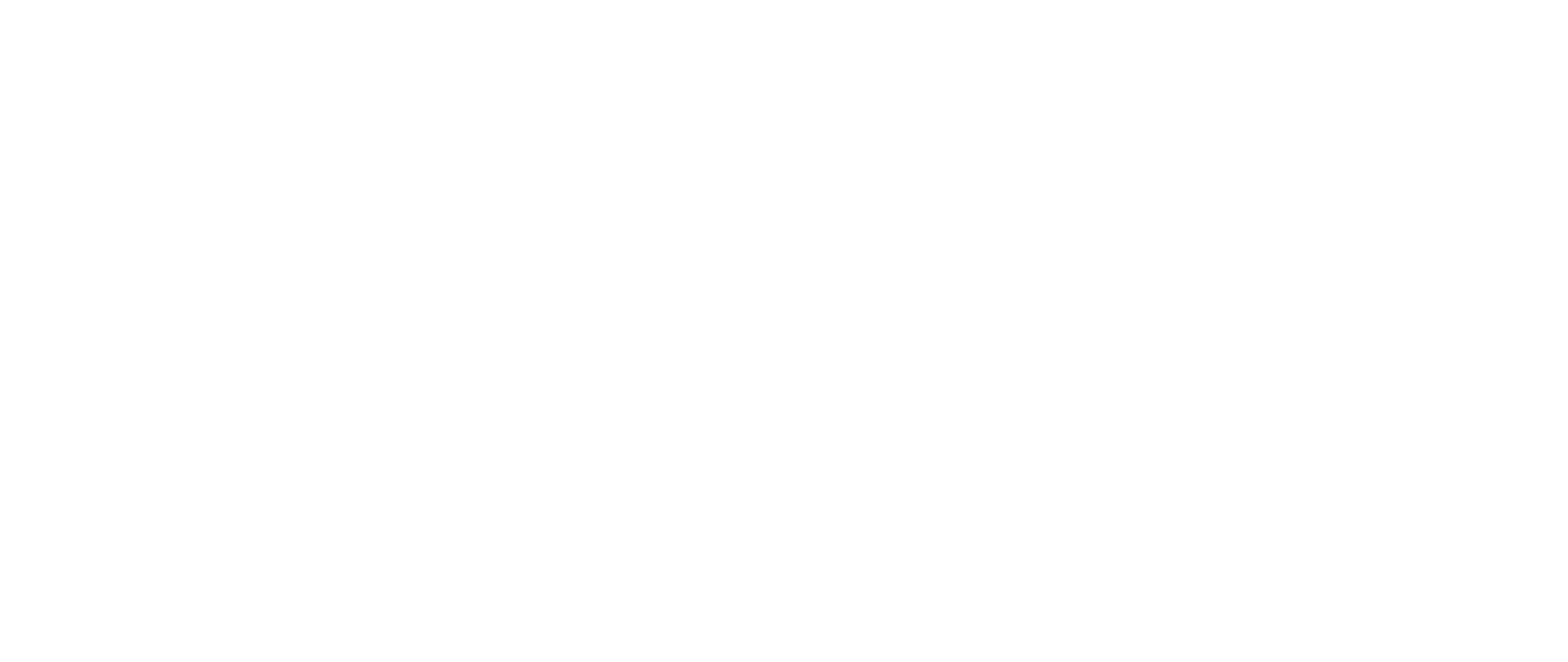 Newsletter Icon