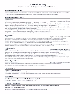 Simple resume template preview.