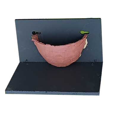 Swallow Nest Box by Genesis Conservation Nest Boxes