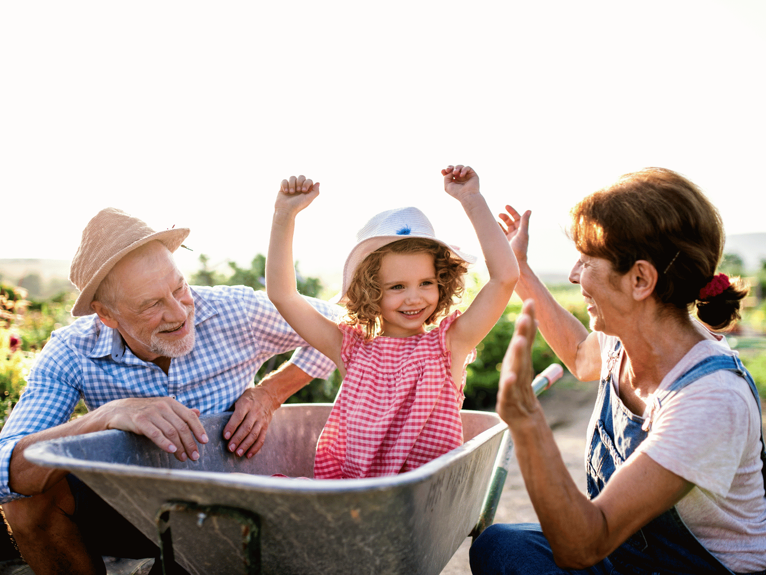 Trust Review & Optimization Planning