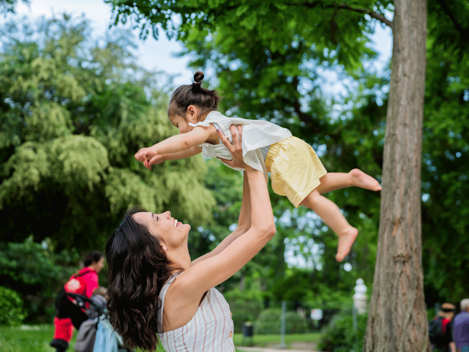 Trust Optimization Plan