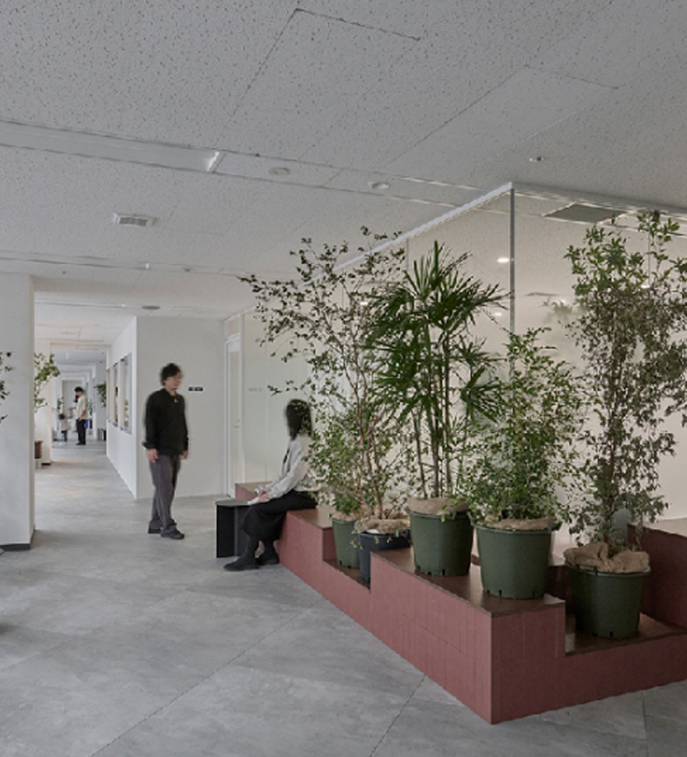 Our Projects