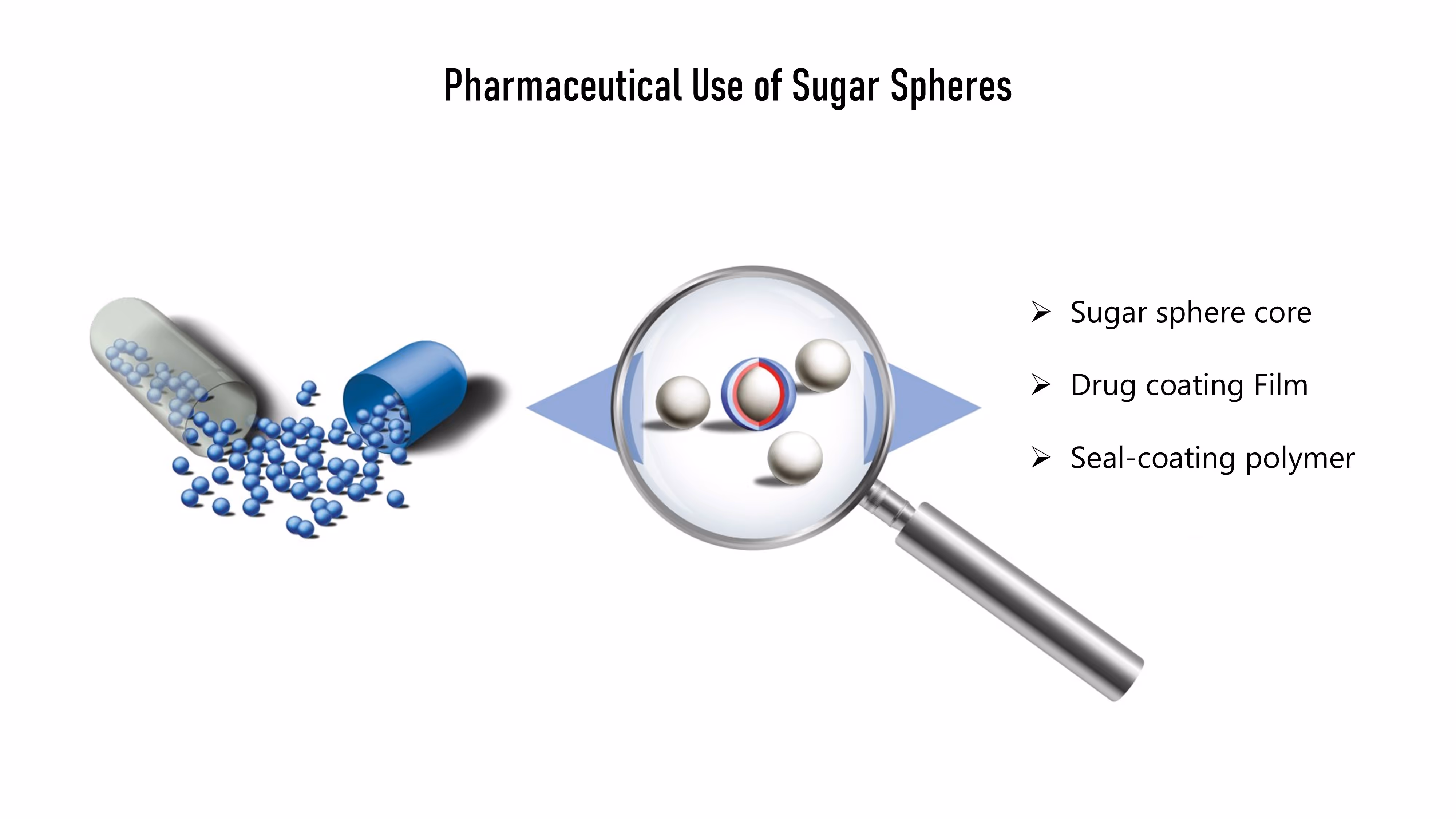 Illustration showing pharmaceutical use of sugar spheres with a capsule releasing blue sugar spheres, and a magnifying glass highlighting a sugar sphere core, drug coating film, and seal-coating polymer.