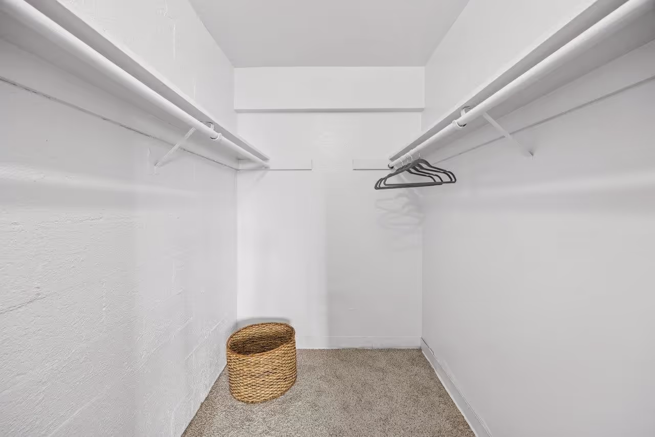 Large walk-in closet