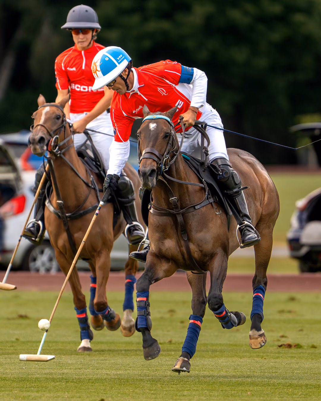 Lovelocks Polo