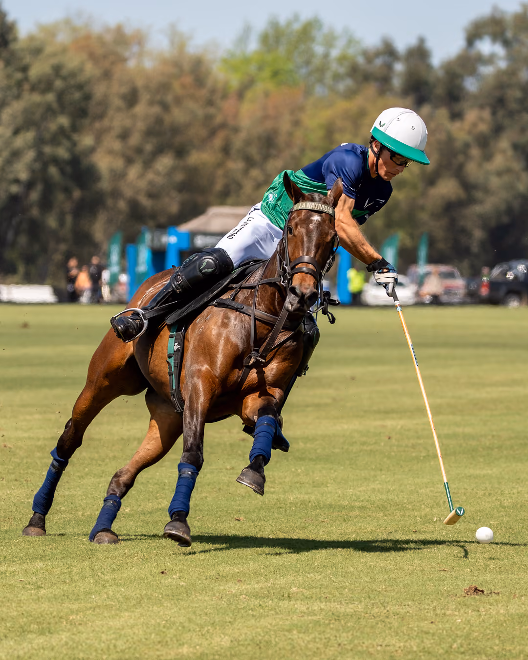 Polo player and pony