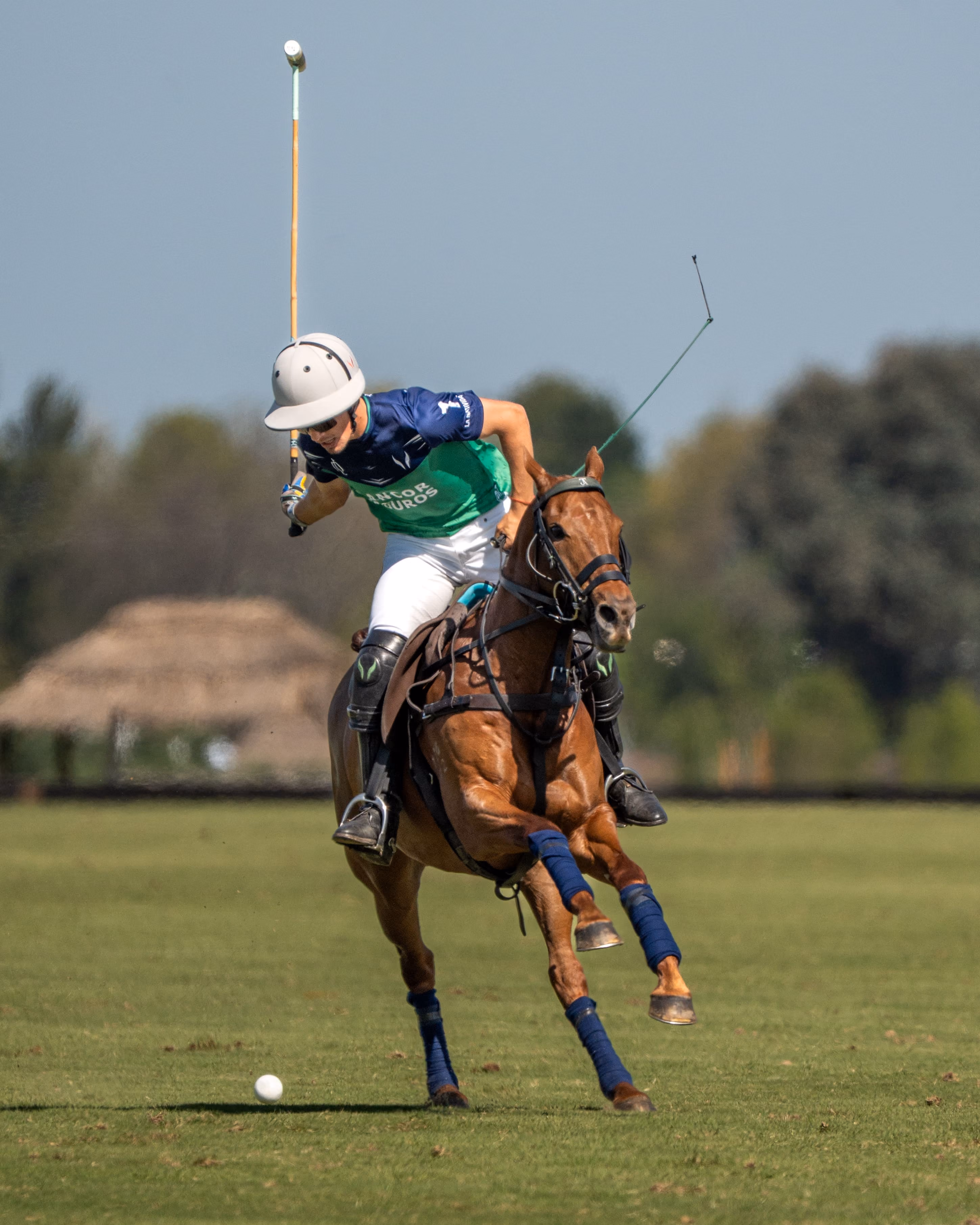 Lovelocks Polo