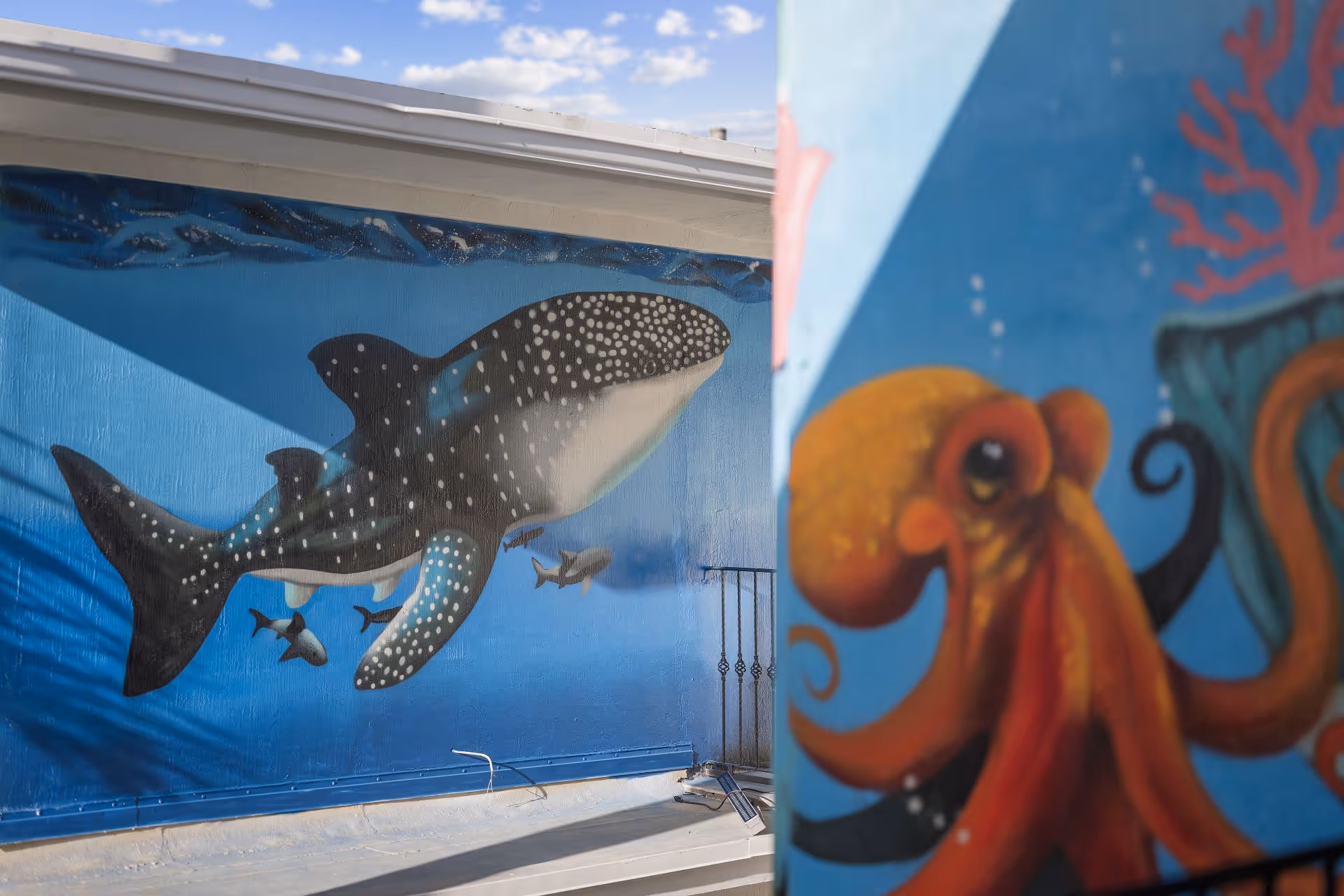 Mural of a whale shark swimming with smaller fish and a close-up of an orange octopus on a blue background on outdoor walls.