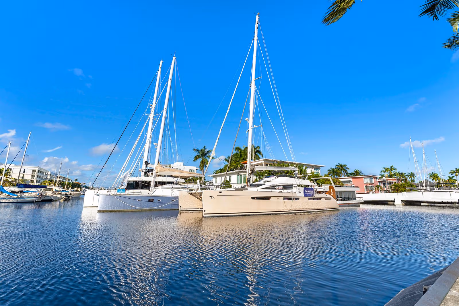 Sailboats docked in a marina with waterfront homes and palm trees under a clear blue sky.