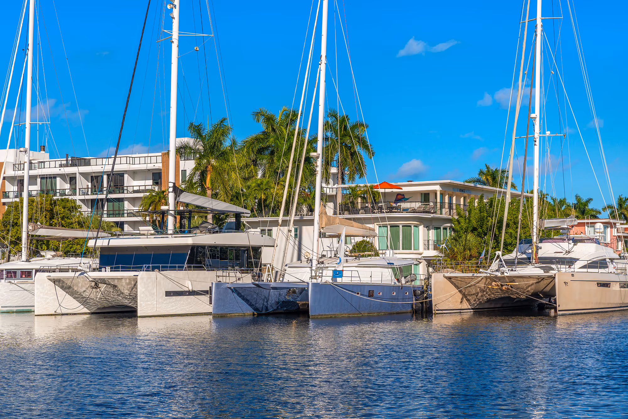 Sailboats docked at a marina with palm trees and buildings under a clear blue sky.