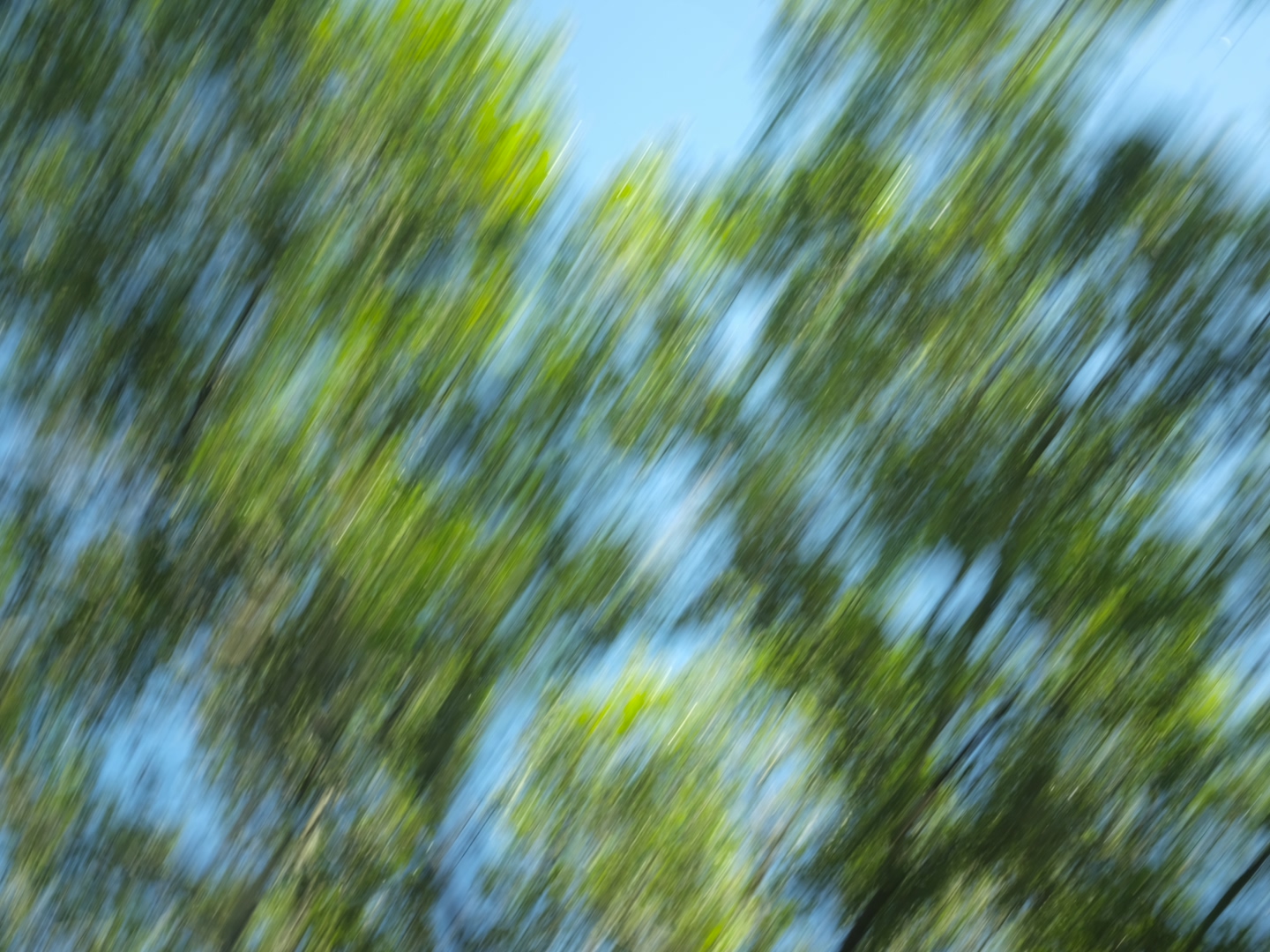 image of temple grounds