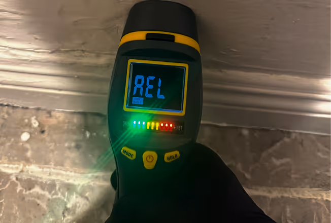Hand wearing black glove holding a moisture meter.