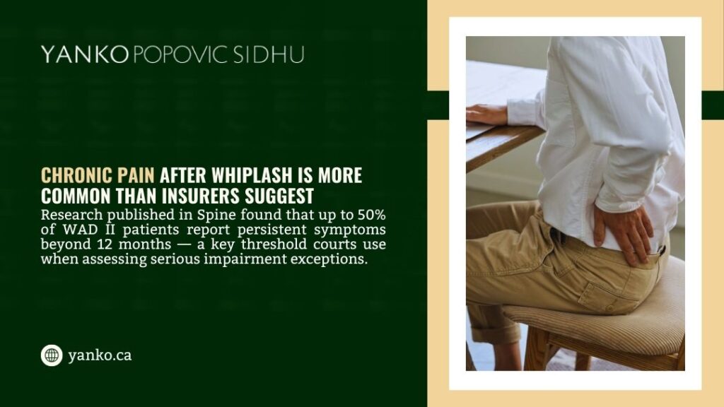 Person in white shirt and khaki pants sitting at a wooden table, hand on lower back in pain, illustrating chronic back or neck discomfort after whiplash injury. Text overlay on chronic pain prevalence.
