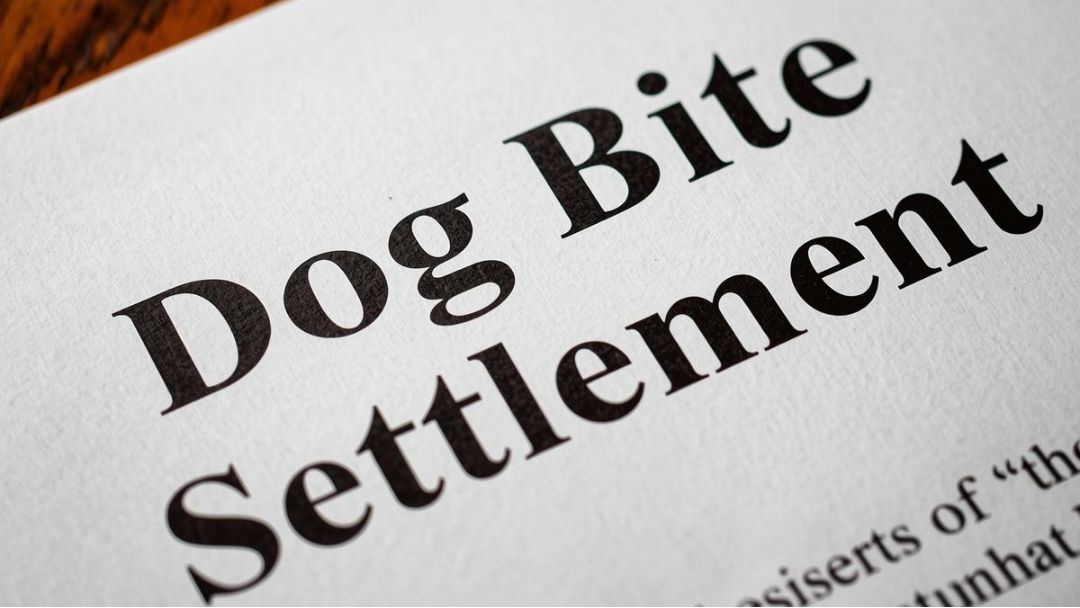 Level 3 Dog Bite Settlement in Calgary and Southern Alberta: What It’s Worth and How Claims Are Valued