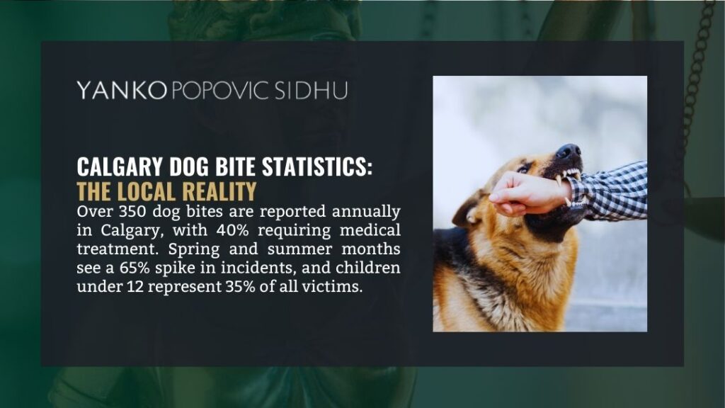Calgary Dog Bite Statistics: The Local RealityAlt: Calgary dog bite statistics: 350+ annual incidents, 40% requiring medical care, with 65% spike in spring-summer and children comprising 35% of victims