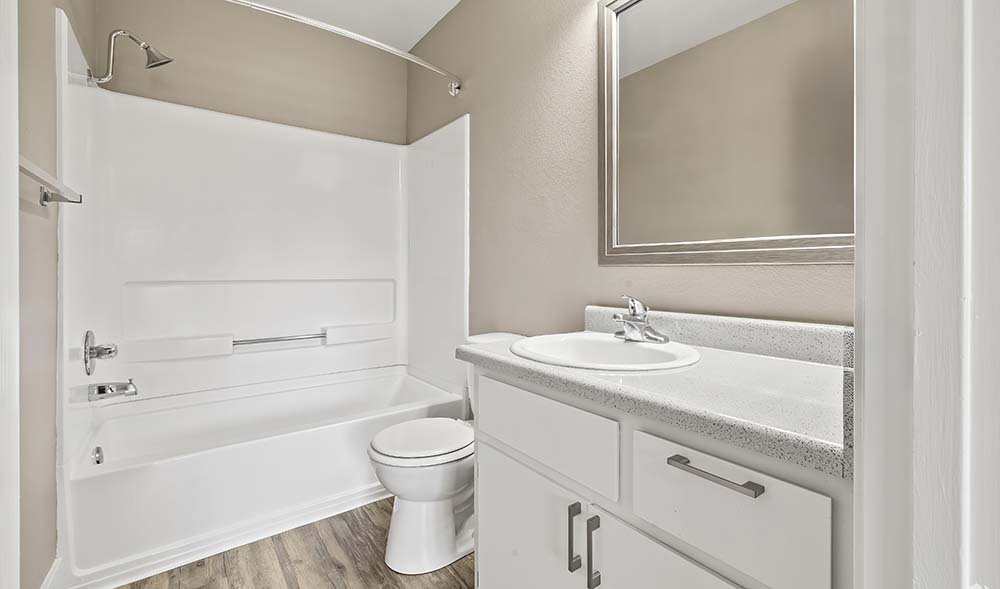 Bathroom vanity and shower