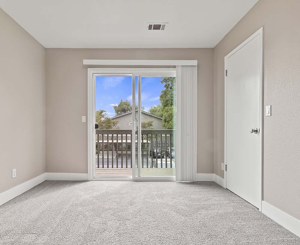 view from carpetd living room to patio door