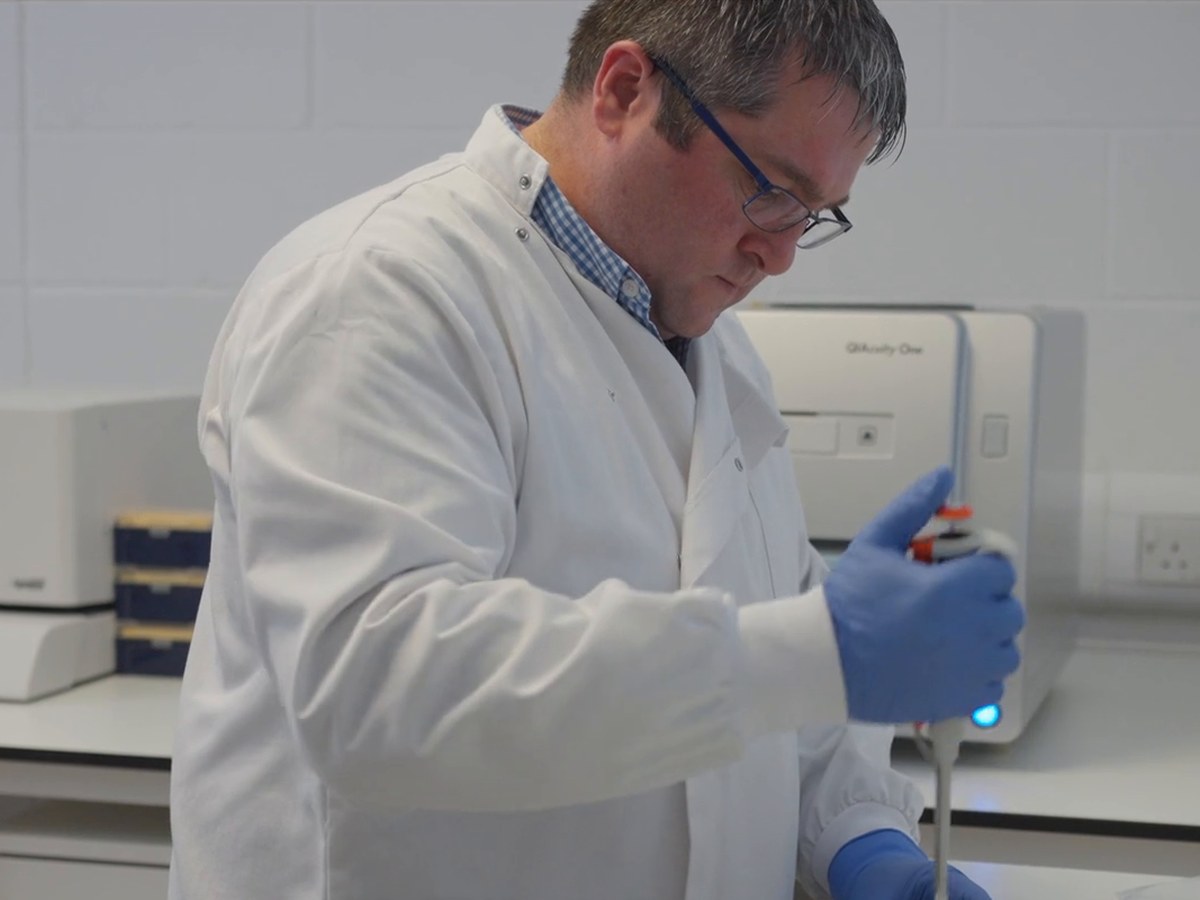 Pipetting at the bench · the afternoon half of the day
