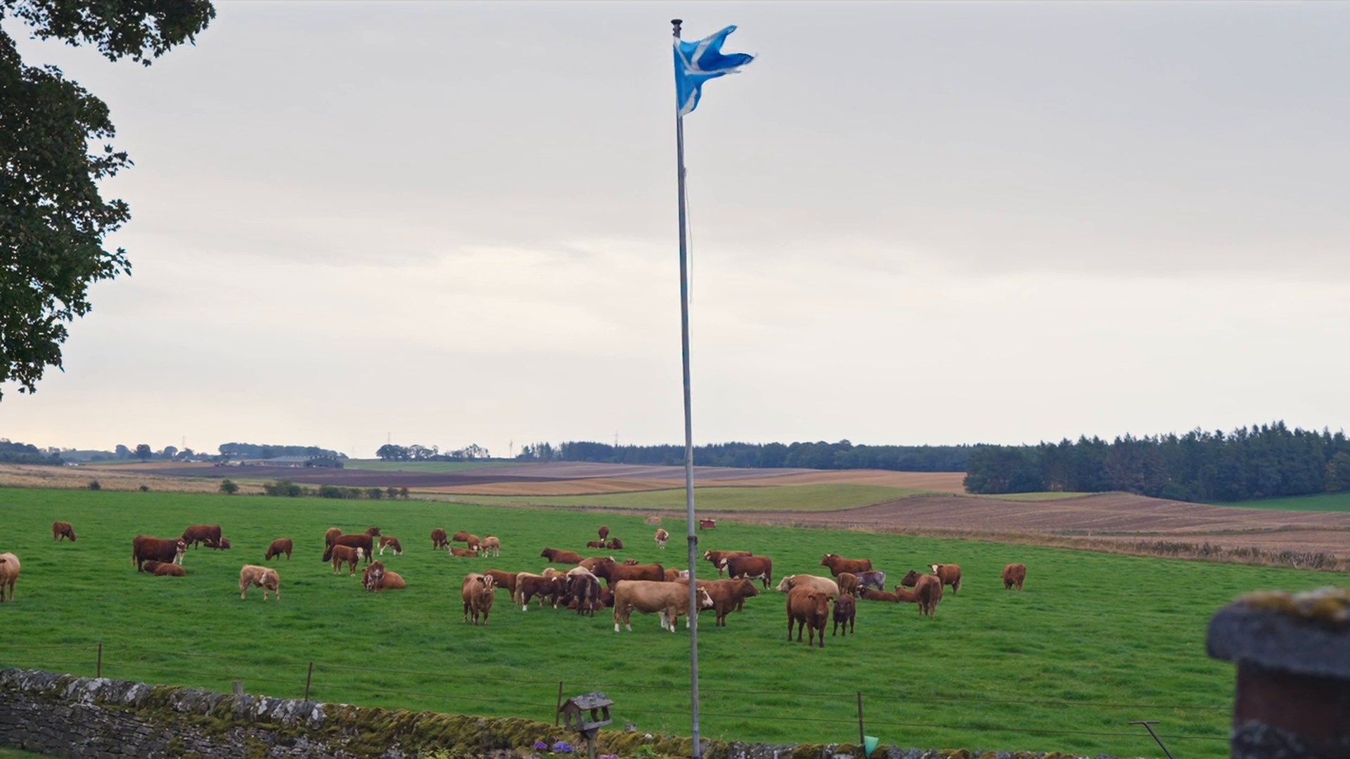 MI:RNA Diagnostics, from farm to lab in 1 day