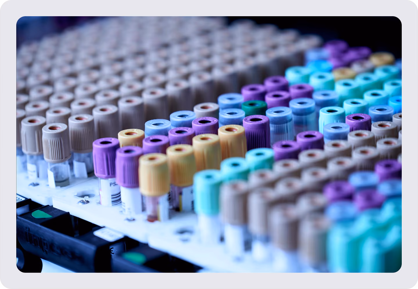 close up of viles in a plate for sequencing