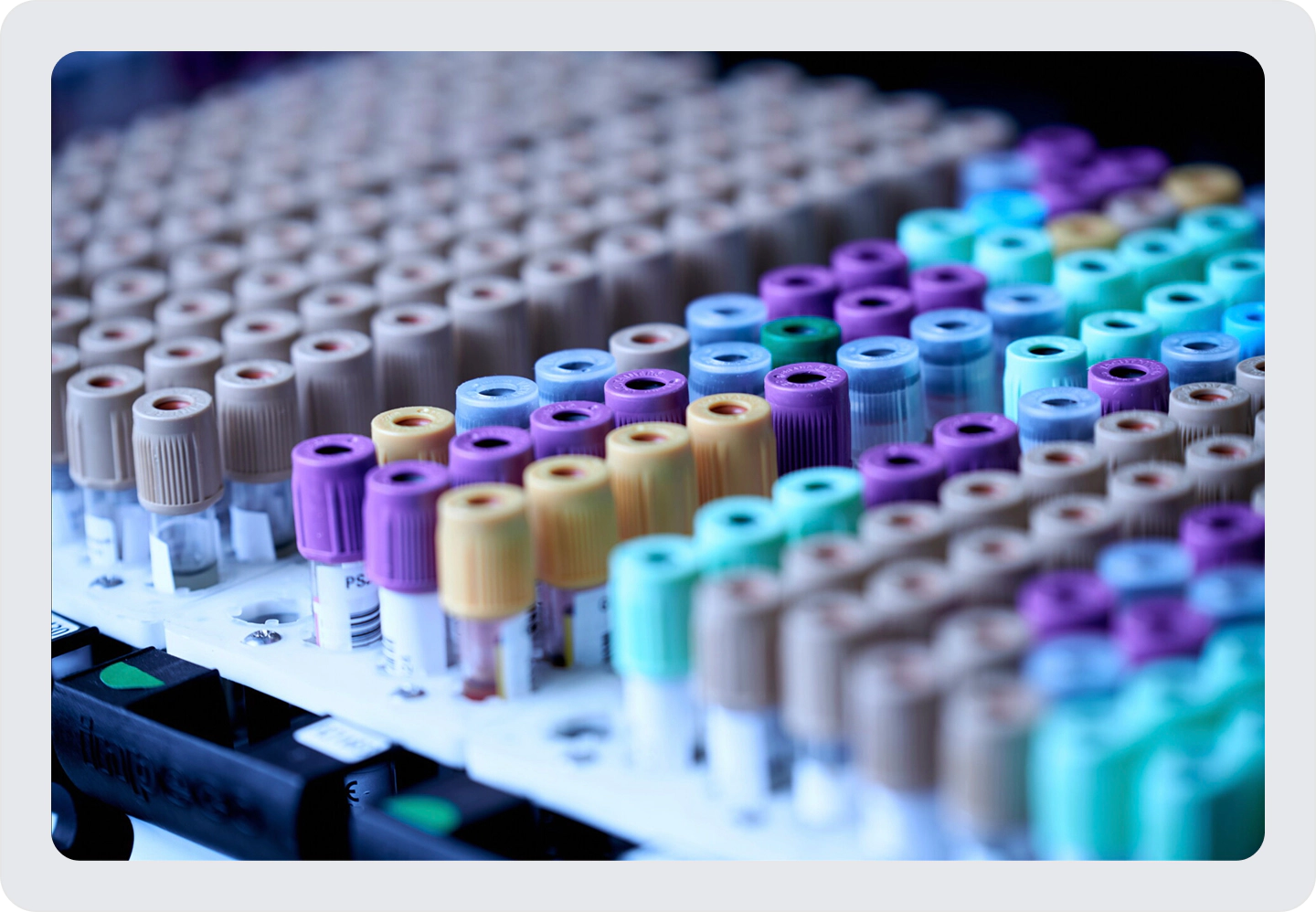 close up of viles in a plate for sequencing