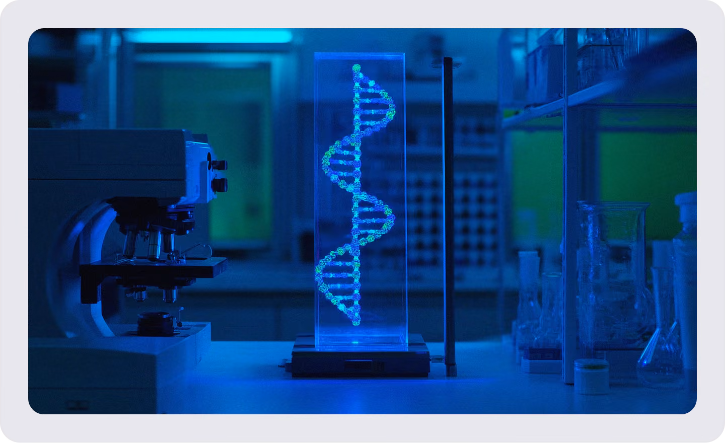 decorative DNA strand in a glass stand in a dim lit lab