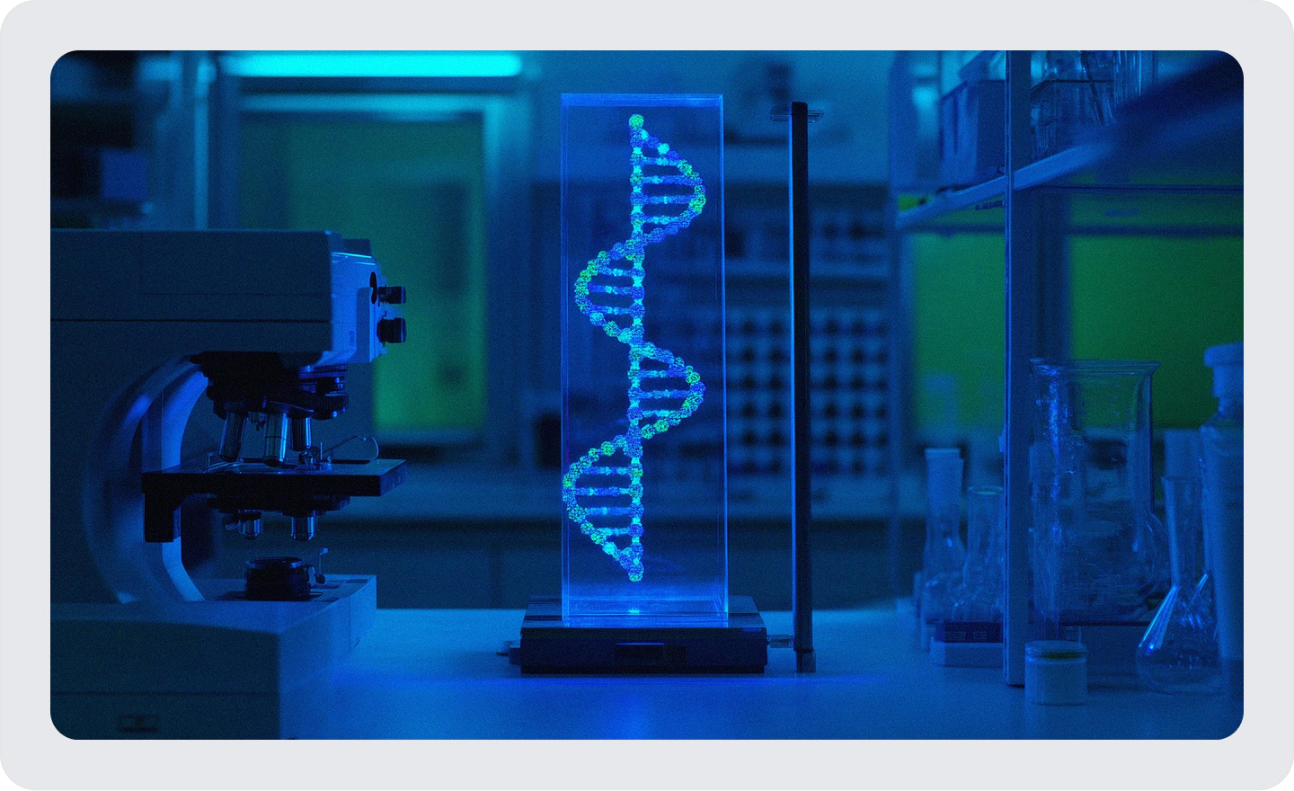decorative DNA strand in a glass stand in a dim lit lab