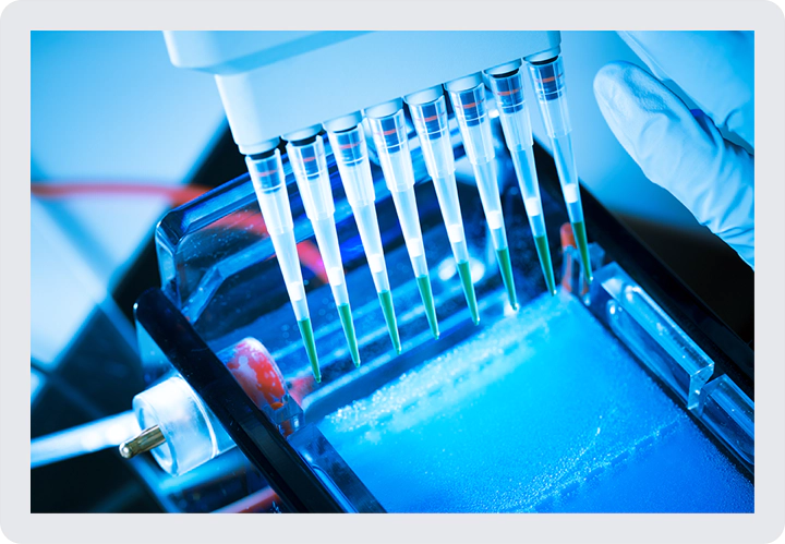 Multichannel pipette dispensing liquid into a laboratory analysis plate.