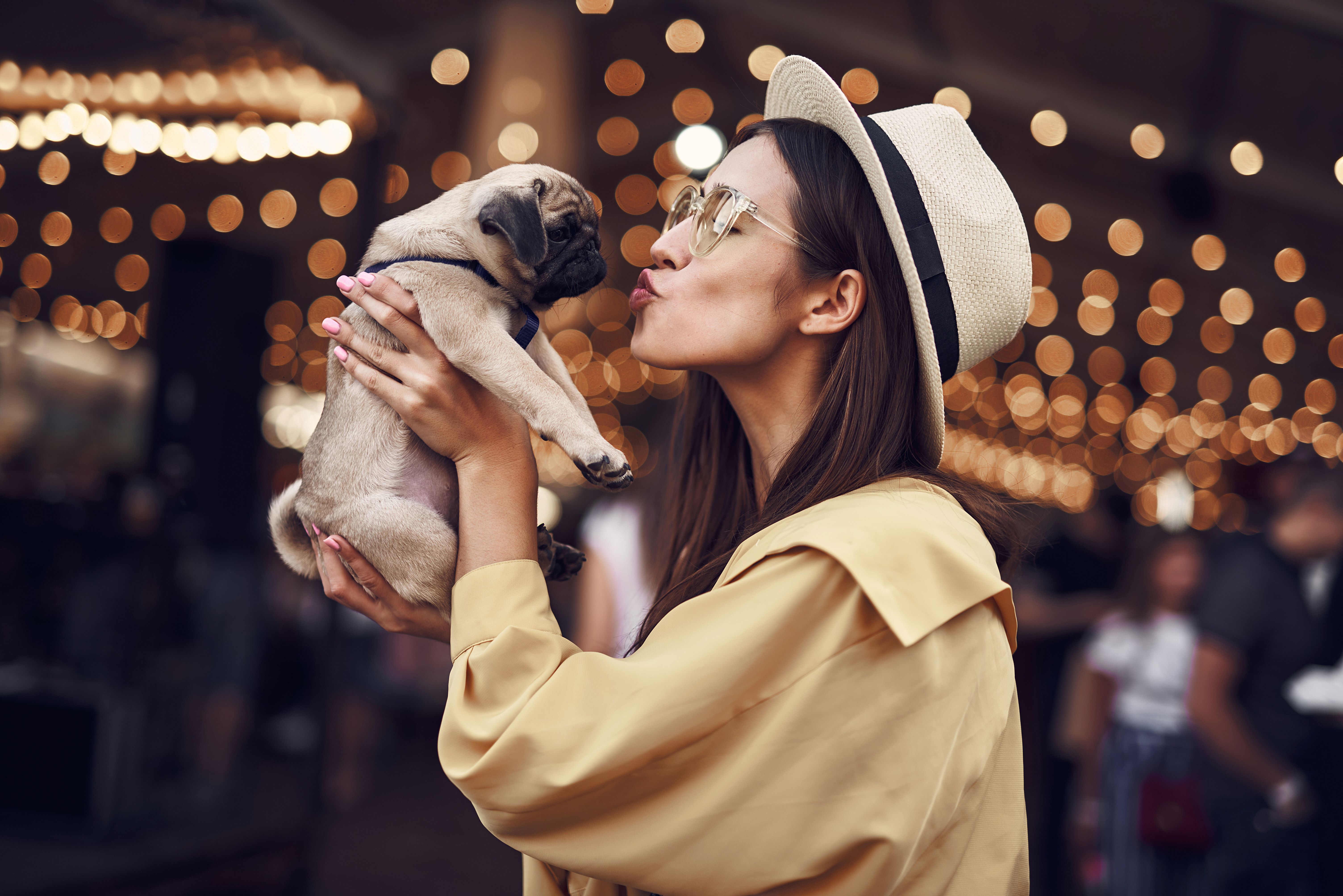 5 Things to Consider Before Getting a Dog | Morton Wealth