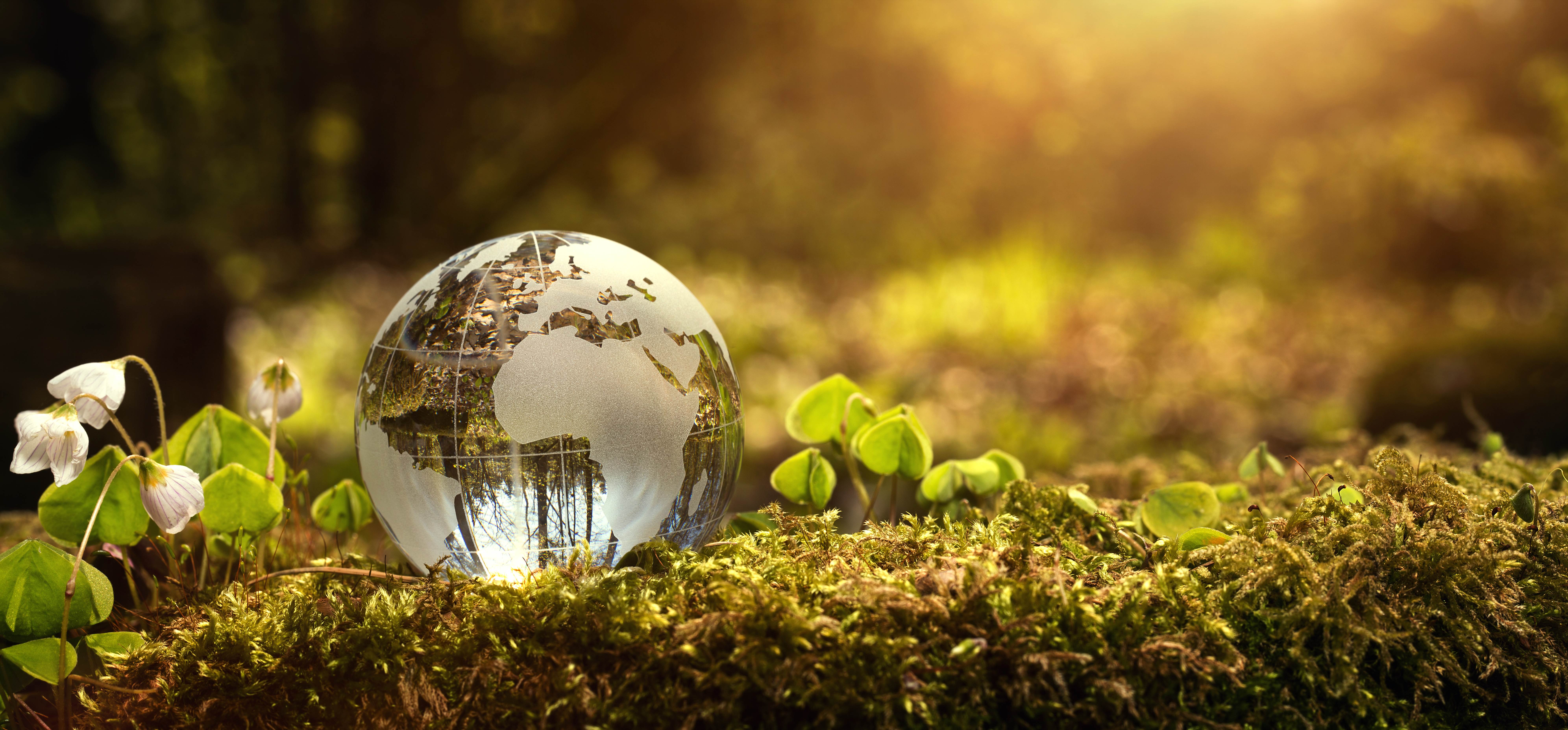 Why Should You Invest in Global Resources?