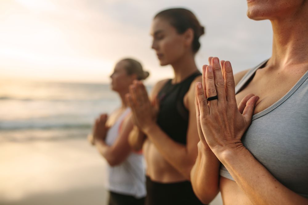 Wellness, the Journey