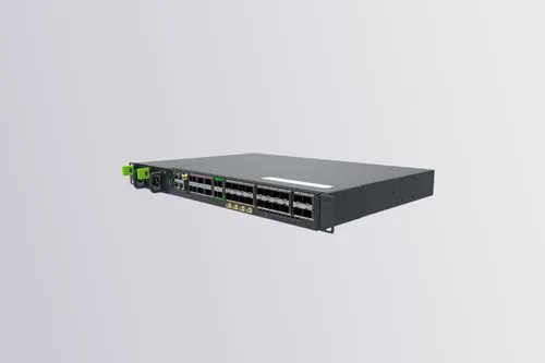 DCR 1100-X800 IP/MPLS Routers