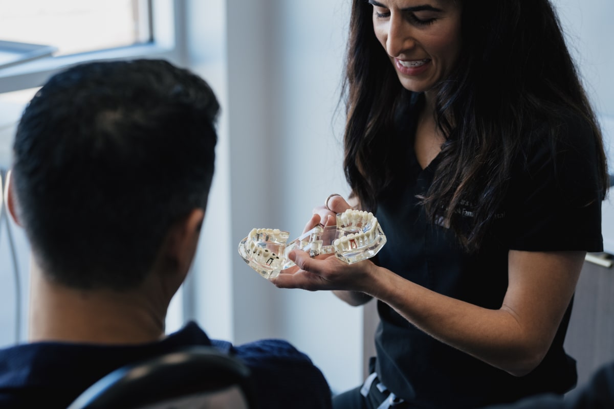 Dental clinician showing a model of teeth and jaw to a patient during a consultation