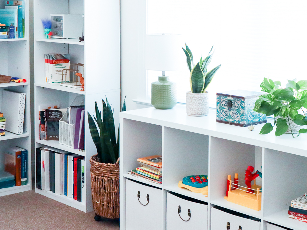 White shelves with books, plants, lamp, and toys in a bright, organized room corner.